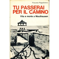 Vincenzo Pappalettera. Tu passerai per il camino