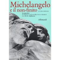 Michelangelo e il non-finito