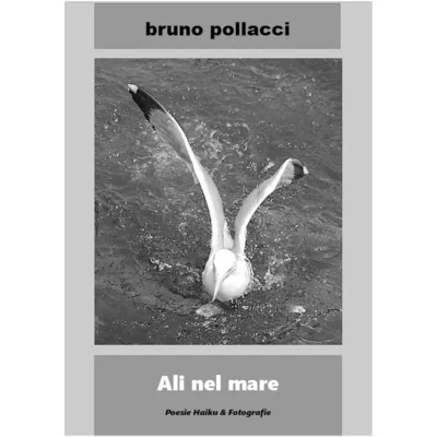 "Ali nel mare" di Bruno Pollacci