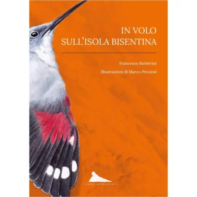 "In volo sull'isola Bisentina" di Francesco Barberini (Autore), Marco Preziosi (Illustratore)