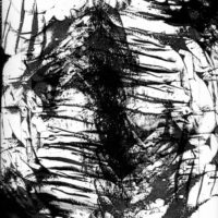 Presque Rien / Quasi Niente: Tautologie - Photogravures e Photomontages di Luc e Brunhild Ferrari