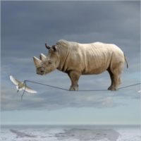 Bart Herreman. L'irreale realtà