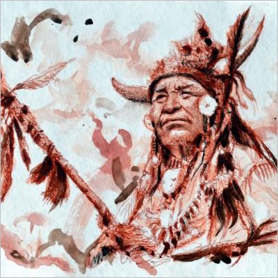 Bruno Pollacci. Nativi americani: la saggezza offfesa