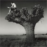 Viaggio nella fotografia italiana (dal 1948 ad oggi)
