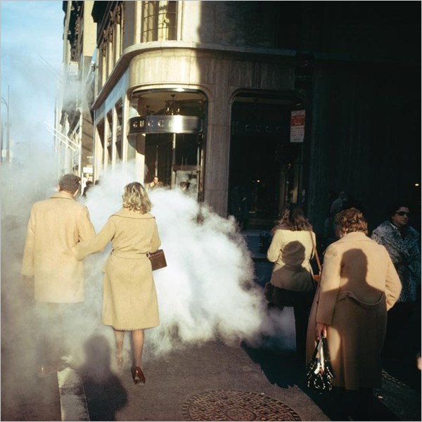 Joel Meyerowitz. Transitions, 1962-1981