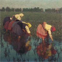 Vita in risaia. Lavoro e socialitĆ nella pittura di Angelo Morbelli