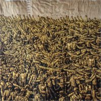 The Contemporary Chinese Fiber Art