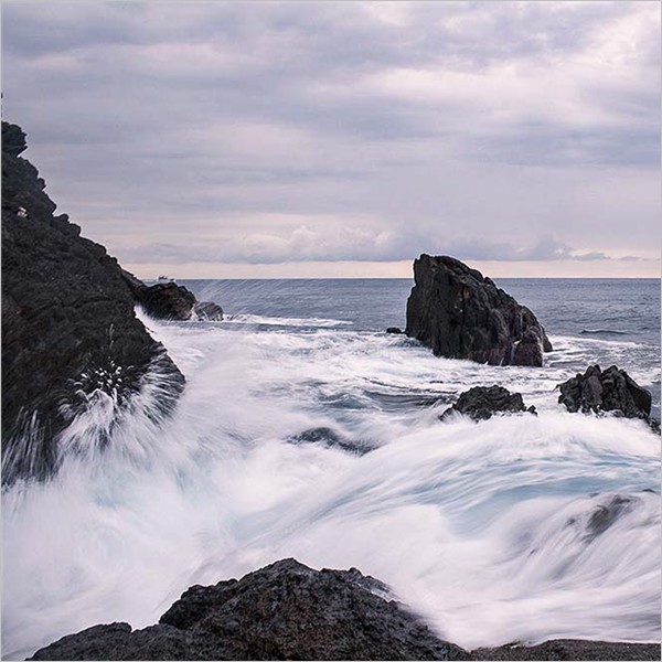 Marcella Ponassi. Come acqua nel mare