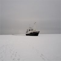 Remote Svalbard - Fotografie di Clara Vannucci