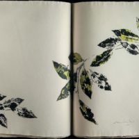 Pagine da collezione - I libri d’artista della Fondazione Cariparma