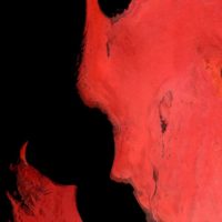 Santiago Espeche. Divina Commedia satellitare