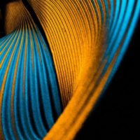 Kim Dupond Holdt. Architetture dinamiche