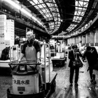 Tokyo Tsukiji. Fotografie di Nicola Tanzini