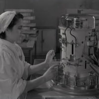Formazione professionale, lavoro femminile e industria a Bologna, 1946-1970