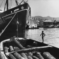 Lisetta Carmi. Da Genova verso il resto del mondo