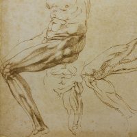 Michelangelo. Disegni da Casa Buonarroti