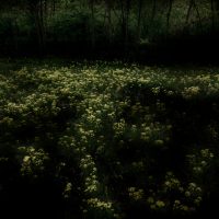 Erminio Annunzi. Nel buio si cela la luce