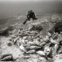 I pionieri dell'archeologia subacquea - Preview della mostra Thalassa al MANN