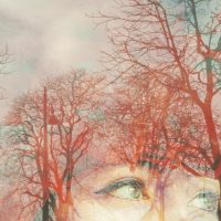 Paesaggi dell'anima - Dalla scrittura alla fotografia