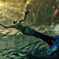 Paesaggi dell'anima - Dalla scrittura alla fotografia