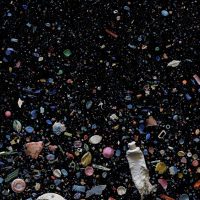 Planet or Plastic? Il devastante impatto della plastica sul nostro ecosistema