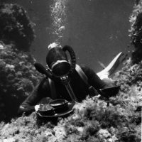 I pionieri dell’archeologia subacquea nell’area Flegrea ed in Sicilia