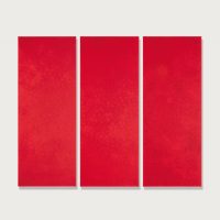 Pino Pinelli. Monocromo. Il colore come destino e come profezia