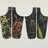 Elena Hamerski. Duplex Natura