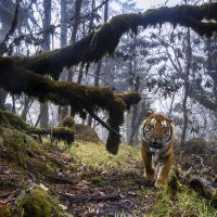 54. Wildlife Photographer of The Year