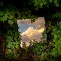 Andrea Tirindelli. Oltre il visibile della natura