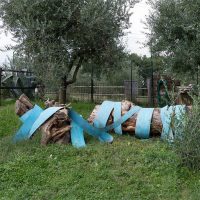 Sculture in campo. Parco di Scultura Contemporanea - III edizione