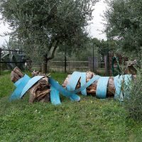 Sculture in campo. Parco di Scultura Contemporanea - III edizione