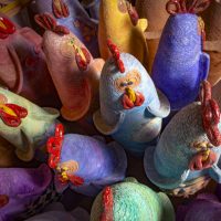 Francesca Pastore. 100 galline tra i Sassi di Matera