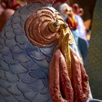 Francesca Pastore. 100 galline tra i Sassi di Matera