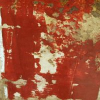Lorenzo Crivellaro - Mostra personale