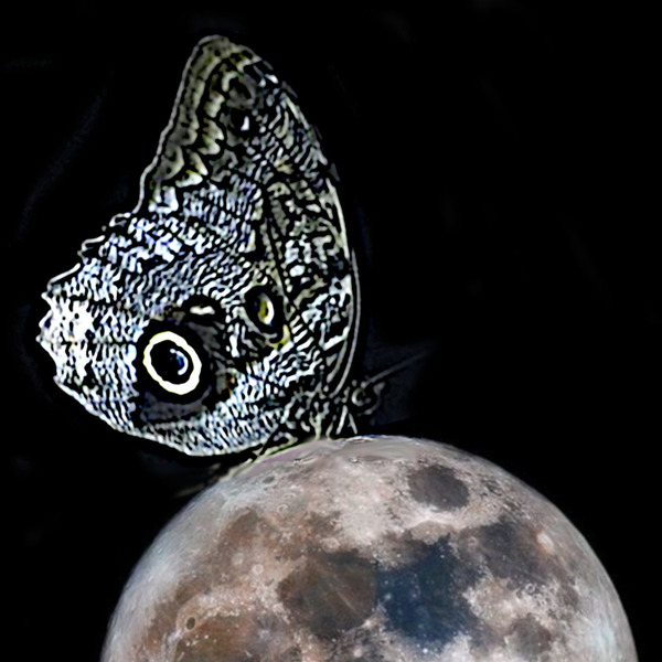 Luna: satellite, poesia & fantasie - Mostra collettiva