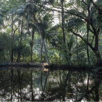 Quel che resta dell’India. Fotografie di Nicolò Panzeri e Umberto Coa