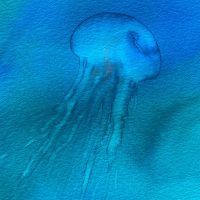 Maria Cristiana Fioretti. Il colore dell'acqua