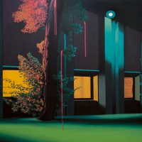 Laura Giardino. La luce oltre