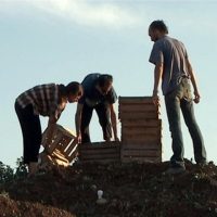 Noi e i luoghi. Fenomenologia della realtĆ attraverso lāimmagine