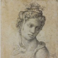 Michelangelo. Divino artista