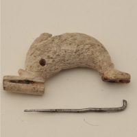 Webinar: Reperti archeologici di origine animale tra ricerca e valorizzazione