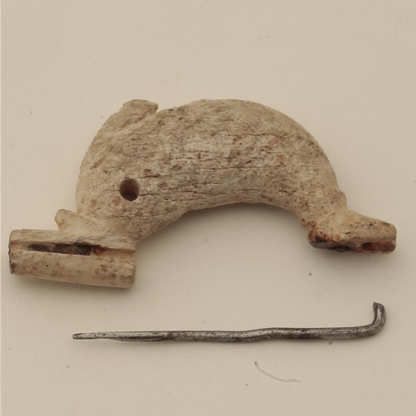 Webinar: Reperti archeologici di origine animale tra ricerca e valorizzazione