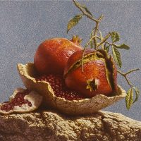 Navarra. Congiunzioni