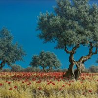 Navarra. Congiunzioni