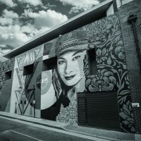 Shepard Fairey. 3 decades of dissent
