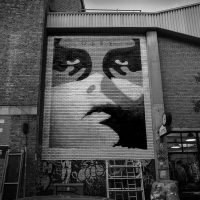 Shepard Fairey. 3 decades of dissent