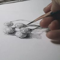 Atelier de dessin - Corso base di disegno