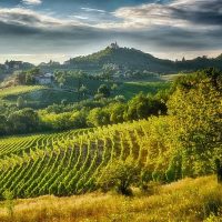 Concorso: Esplorare Gavi - Immagini d'autore dal Piemonte