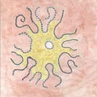 Ernesto Neto. Mentre la vita ci respira - SoPolpoVit'EreticoLe